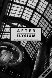 Capa do artigo After Elysium