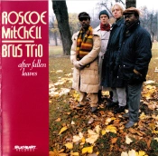 Capa do artigo After Fallen Leaves - CD