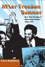 After Freedom Summer - Preview