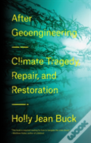 After Geoengineering