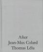After Jean-Max Colard Thomas Lélu ; Entretiens - Preview