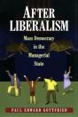 After Liberalism - Preview