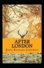 After London Annotated - Preview