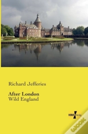 Capa do artigo After London