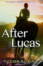 Capa do artigo After Lucas