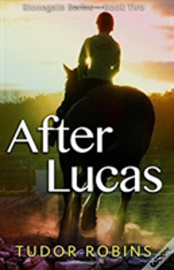 Capa do artigo After Lucas