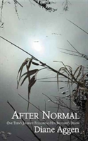 After Normal - Preview