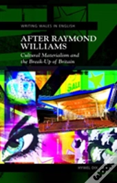 After Raymond Williams