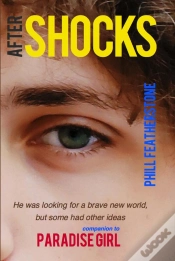 Capa do artigo After Shocks