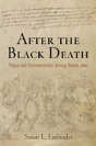 After The Black Death - Preview