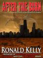 After The Burn - Preview