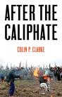 After The Caliphate - Preview