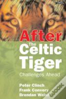 After The Celtic Tiger