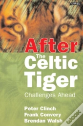 After The Celtic Tiger