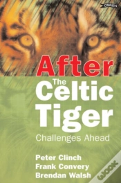 Capa do artigo After The Celtic Tiger