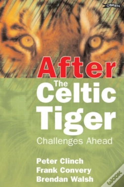 Capa do artigo After The Celtic Tiger