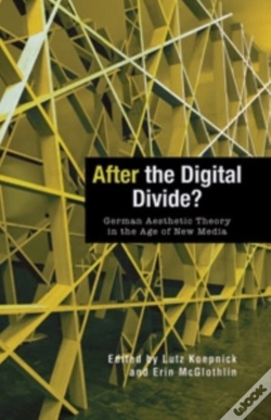Capa do artigo After The Digital Divide?