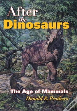 Capa do artigo After The Dinosaurs