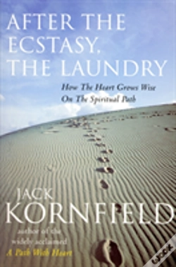 Capa do artigo After The Ecstasy, The Laundry