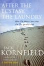 After The Ecstasy, The Laundry - Preview