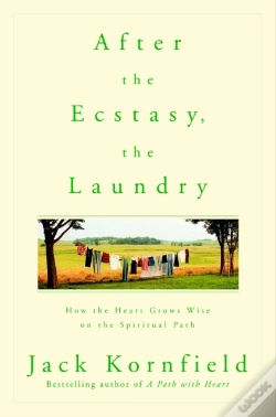 Capa do artigo After The Ecstasy, The Laundry