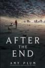 After The End - Preview