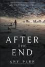 After The End - Preview