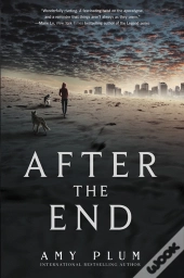 After The End