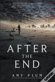 Capa do artigo After The End