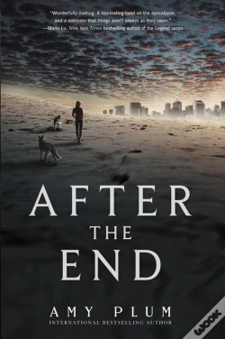 Capa do artigo After The End
