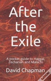 Capa do artigo After The Exile