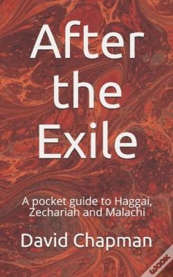 Capa do artigo After The Exile
