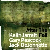 Capa do artigo After The Fall - CD