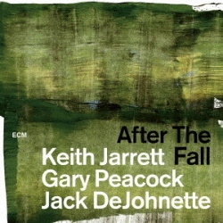 Capa do artigo After The Fall - CD
