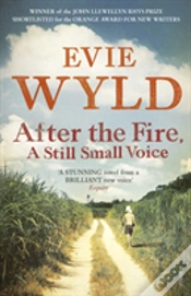 Capa do artigo After The Fire, A Still Small Voice