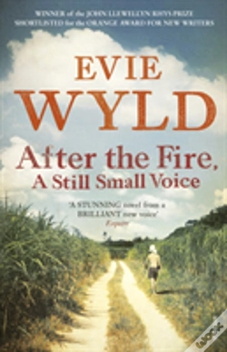 Capa do artigo After The Fire, A Still Small Voice
