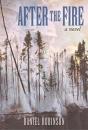After The Fire - Preview