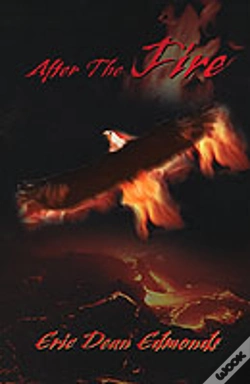 Capa do artigo After The Fire