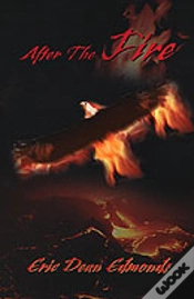 Capa do artigo After The Fire