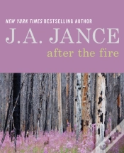 Capa do artigo After The Fire