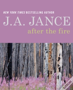 Capa do artigo After The Fire