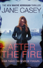 After The Fire - Preview