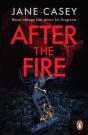 After The Fire - Preview