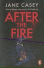 After The Fire - Preview