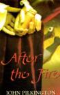 After The Fire - Preview