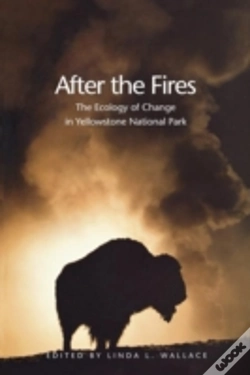 Capa do artigo After The Fires