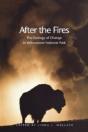 After The Fires - Preview