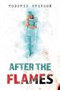 After The Flames - Preview