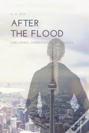 Capa do artigo After The Flood