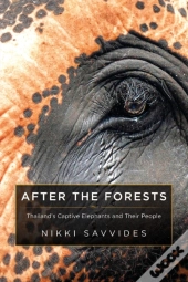 After The Forests